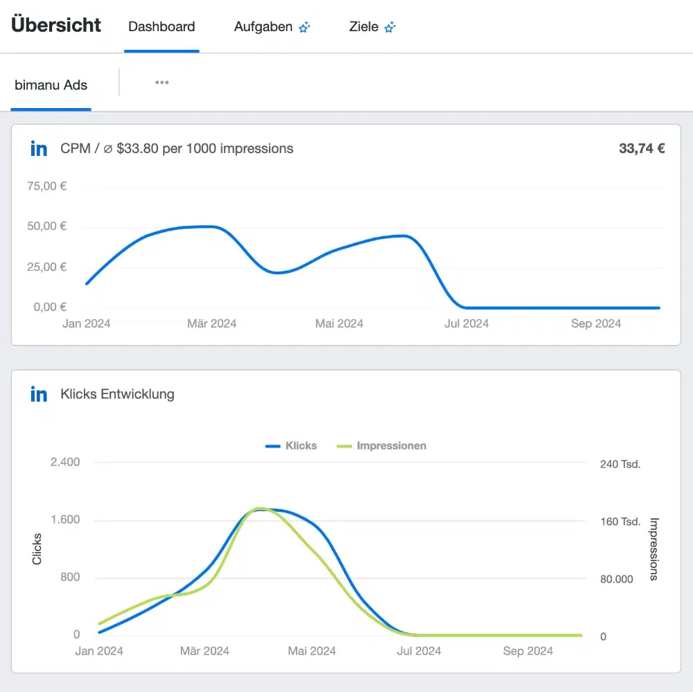 bimanu monitoring im marketing