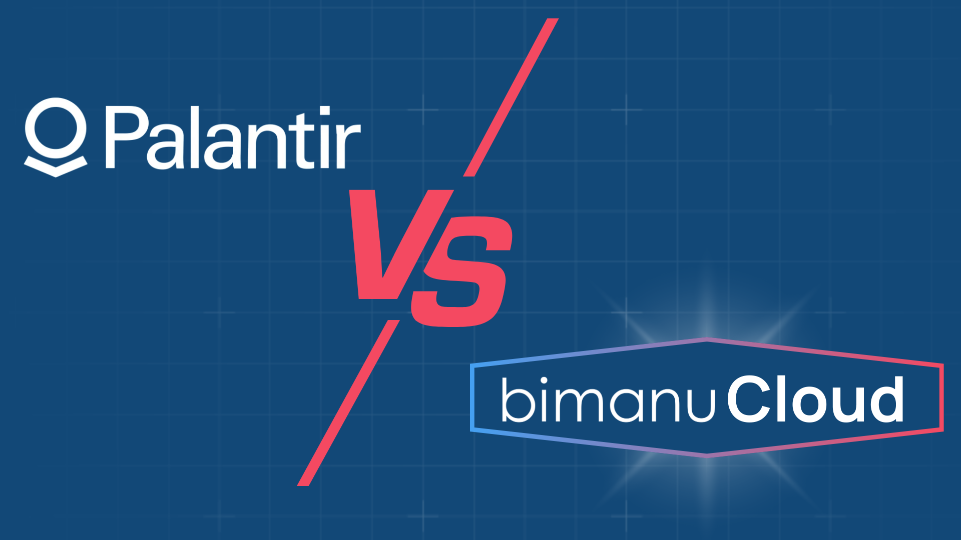 Palantir vs. bimanu Cloud