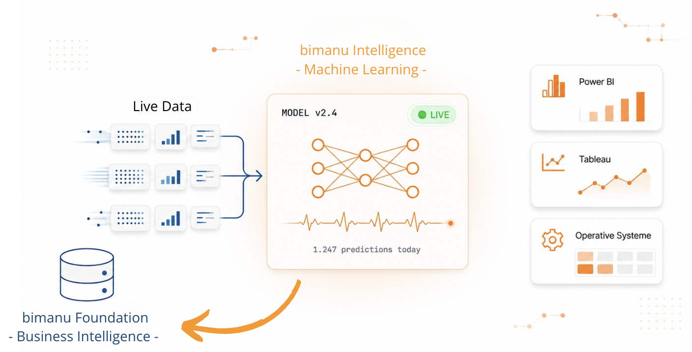 bimanu_intelligence_v03