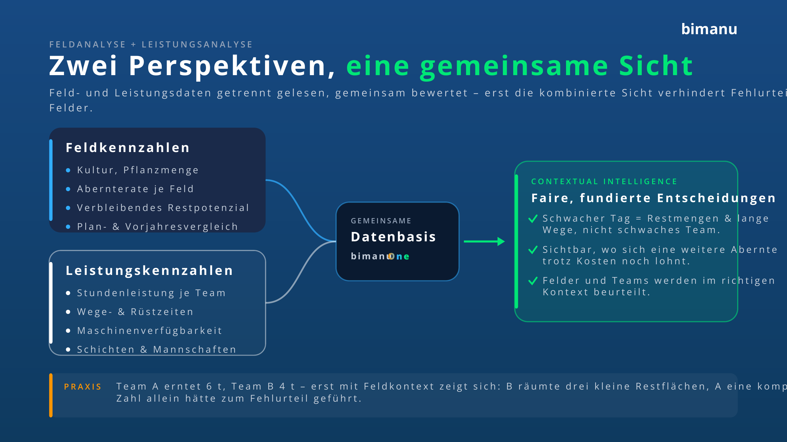 bimanu feldanalyse 02 feld und leistungsanalyse